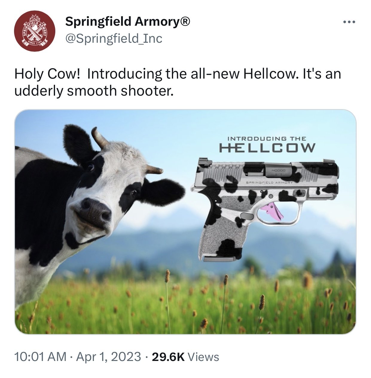 Springfield Armory Hellcow | Oklahoma Shooters